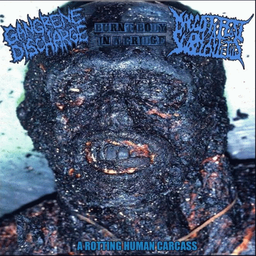 Gangrene Discharge : A Rotting Human Carcass